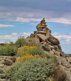 网页DDOS攻击平台